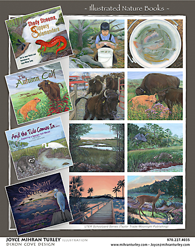 sample sheet of illustrated nature books