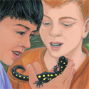two boys with salamander_copyrighted nature illustration_JMTurley